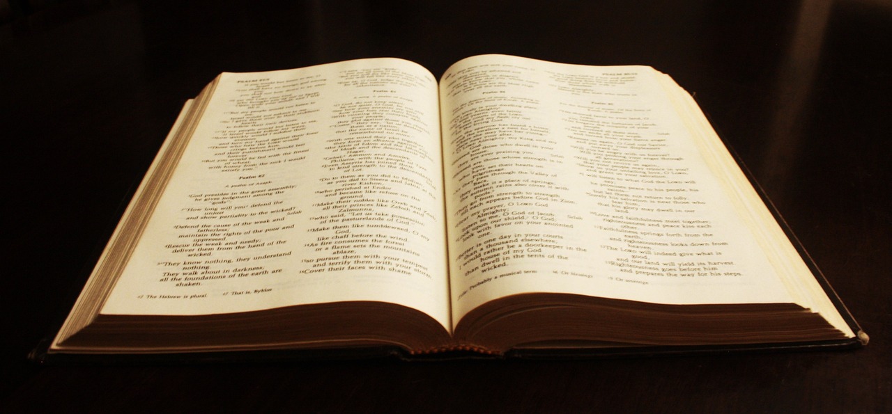 book, bible, text, literature, christianity, old, study, spiritual, learn, learning, knowledge, god, christian, religion, studying, open bible, antique, bible study, bible, bible, bible, bible, bible, open bible